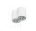 Lampa sufitowa natynkowa Azzardo Bross 2 White/Aluminium