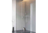 Drzwi prysznicowe Radaway Nes KDJ I 80, prawe, 800x2000mm