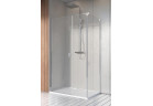 Drzwi prysznicowe Radaway Nes KDS I 120, lewe, 1200x2000mm, srebrny profil