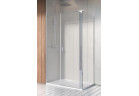Drzwi prysznicowe Radaway Nes KDS II 100, lewe, 1000x2000mm, srebrny profil