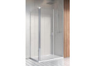 Drzwi prysznicowe Radaway Nes KDS II 120, prawe, 1200x2000mm, srebrny profil