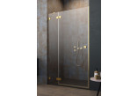 Drzwi prysznicowe do wnęki Radaway Essenza Pro Gold DWJ 100, lewe, 1000x2000mm, złoty profil