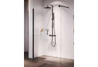 Ścianka prysznicowa Walk-In Novellini Giada H, 75x195cm, szkło przejrzyste, profil srebrny