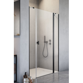 Drzwi prysznicowe Radaway Nes KDS II 120, lewe, 1200x2000mm, srebrny profil