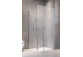 Drzwi prysznicowe Radaway Nes Black KDS II 120, lewe, 1200x2000mm, profil czarny