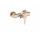 Bateria prysznicowa Roca Naia Rose Gold, natynkowa, rose gold