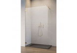 Kabina prysznicowa Radaway Essenza Pro Gold Walk-in 120, szkło przejrzyste, profil złoty