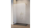Drzwi prysznicowe walk-in Radaway Essenza Pro 8 Gold, 50x200cm, szkło przejrzyste, profil złoty