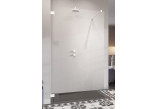 Drzwi prysznicowe walk-in Radaway Essenza Pro White, 50x200cm, szkło przejrzyste, profil biały