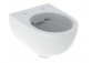 Geberit Selnova Compact Wisząca miska WC, lejowa, B35.5cm, H33cm, T49cm, krótka, ukryte mocowania, Rimfree