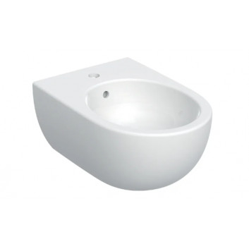 Geberit Selnova Bidet wiszący, B36cm, H26cm, T53cm, ukryte mocowania, z przelewem, z otworem na baterię