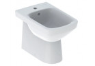 Geberit Selnova Square Bidet stojący przylegający do ściany, 35x53cm, częściowo ukryte mocowania, z przelewem, z otworem na baterię