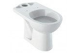 Geberit Selnova Stojąca miska WC do spłuczki nasadzanej, lejowa, B36cm, H39cm, T67cm, odpływ poziomy