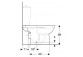 Geberit Selnova Stojąca miska WC do spłuczki nasadzanej, lejowa, B36cm, H39cm, T67cm, odpływ poziomy