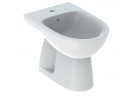 Geberit Selnova Bidet wolnostojący, 35.8x54cm, z przelewem, z otworem na baterię