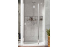 Drzwi prysznicowe do wnęki Radaway Nes DWJ II 120, wersja prawa, 120x2000mm, szkło przejrzyste, profil złoty szczotkowany