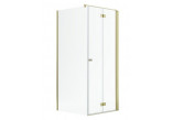 Drzwi prysznicowe Radaway Nes Gold KDJ B 100, składane, prawe, 1000x2000mm - szkło przejrzyste, profil złoty połysk