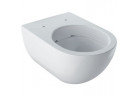 Miska wc Geberit Acanto wisząca 53x35 cm, lejowa, bez kołnierza, z powłoką KeraTect - biała