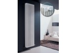 Grzejnik Irsap Tesi 2 60x90 cm - biały- sanitbuy.pl