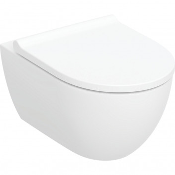 Miska ustępowa Geberit Acanto wisząca 51x35 cm, ukryte mocowania, Rimfree - biała