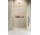 Drzwi prysznicowe 100cm, Radaway Alienta Brushed Light Gold DWJ, szkło przezroczyste, profil jasny złoty