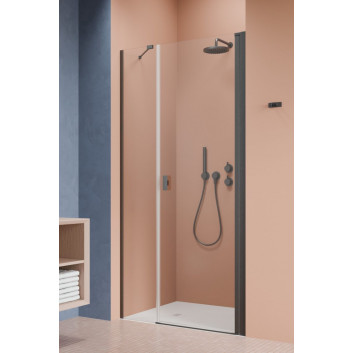 Drzwi prysznicowe Radaway Nes KDS II 120, lewe, 1200x2000mm, srebrny profil