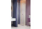 Drzwi prysznicowe do wnęki Radaway Nes Brushed Nickel DWS 100, przejrzyste, prawe, 980-1010x2000mm, profil nikiel szczotkowany