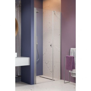 Drzwi prysznicowe Radaway Nes KDS II 120, lewe, 1200x2000mm, srebrny profil